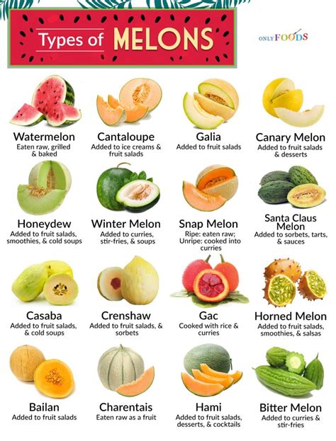 melones tubes|Trying Every Type Of Melon 